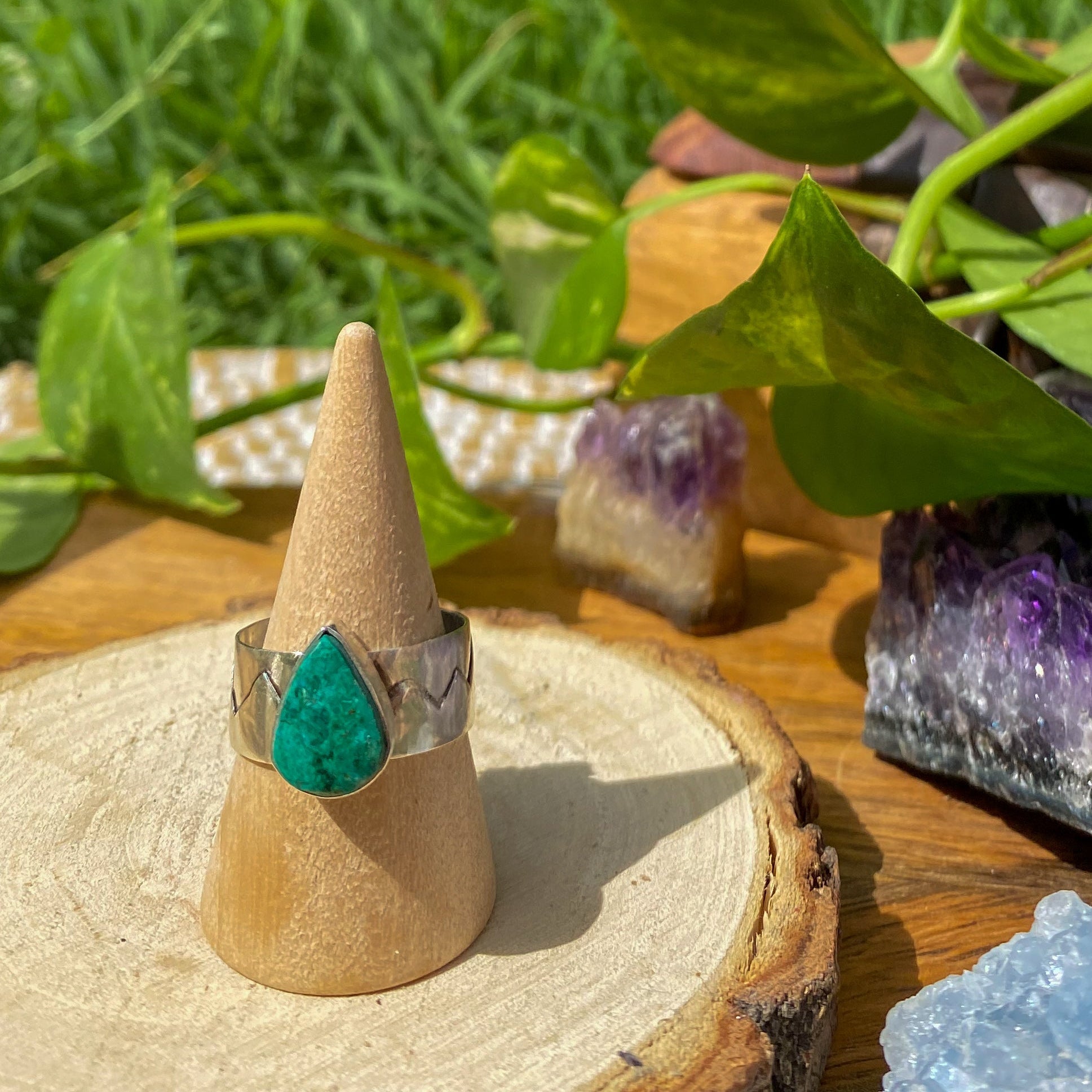 Anillo PUNO