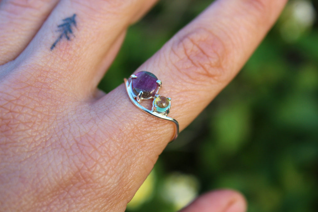 Anillo Besalú • T18