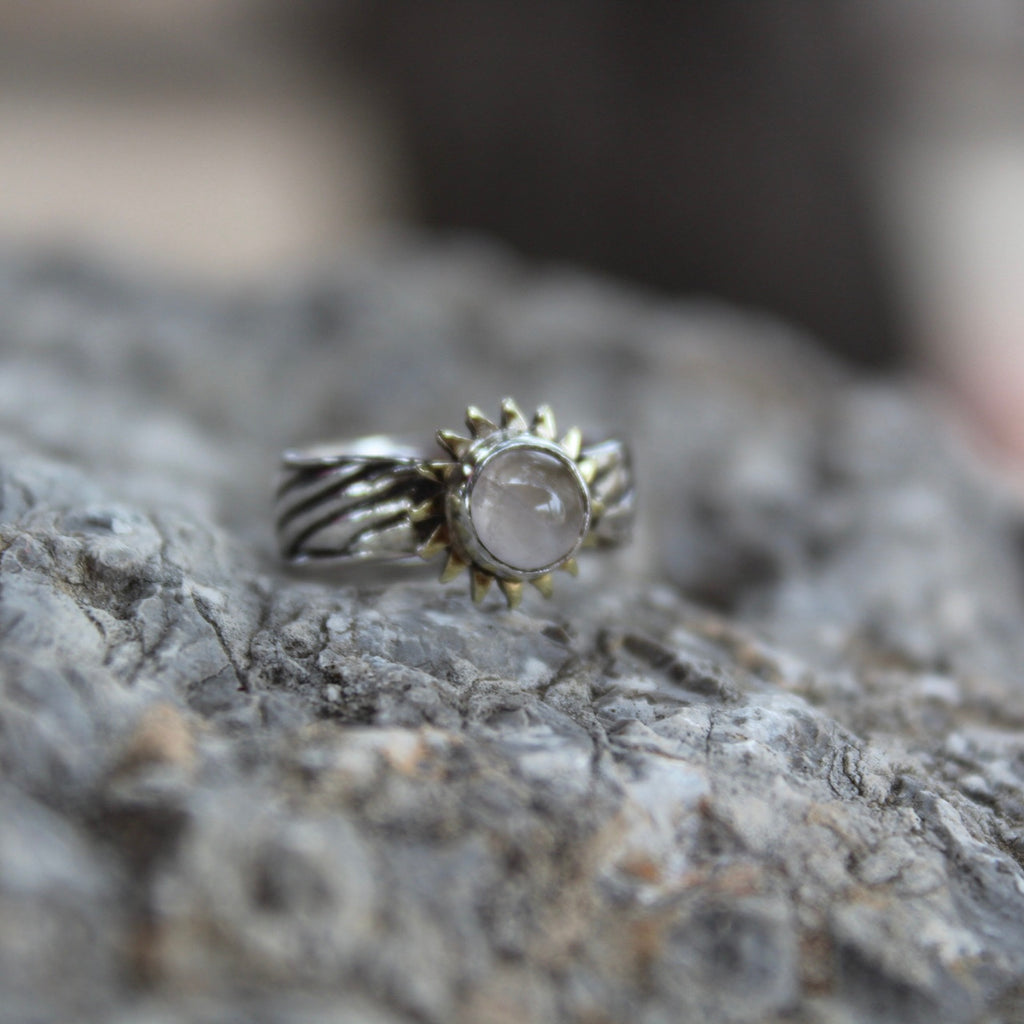 ANILLO ÁLIGA