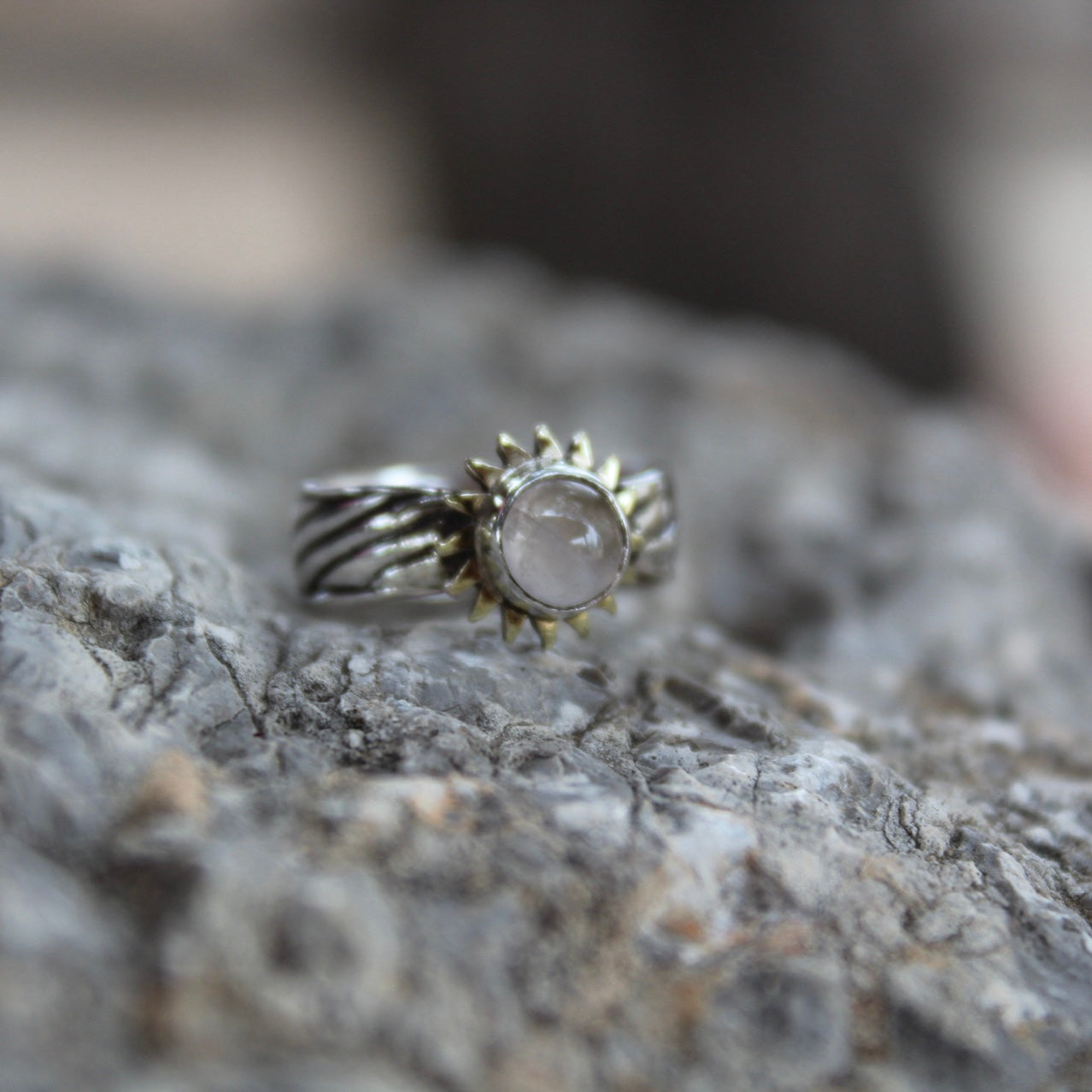 ANILLO ÁLIGA