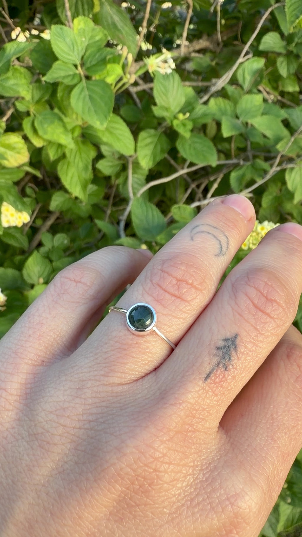 Anillo Manaos